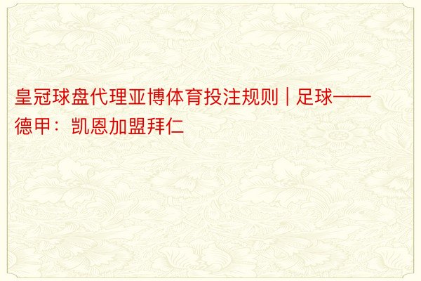 皇冠球盘代理亚博体育投注规则 | 足球——德甲：凯恩加盟拜仁