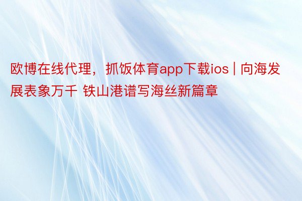 欧博在线代理，抓饭体育app下载ios | 向海发展表象万千 铁山港谱写海丝新篇章